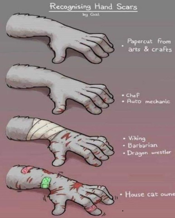image.thumb.png.4d0cc9f8c5e6cb0c36b94f2ccc3246aa.png