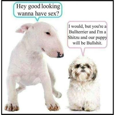 image.png.0119696061219e9677bf4ed99d425c4c.png