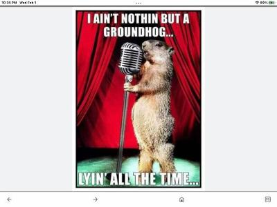 image.png.631d8947c5dfdfa58d2a82b280ae36da.png