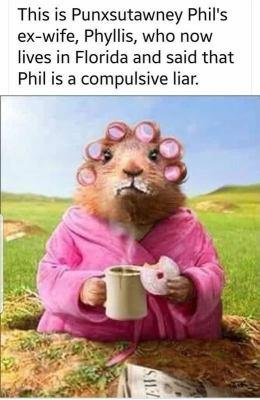 image.png.782d03e0aac995893241f8addd79c4c6.png