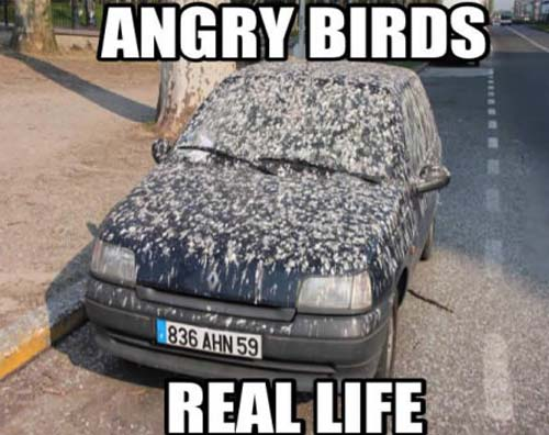 image.png.90c5a4aa6312885659ee3ed563ff6c63.png