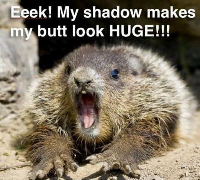 image.png.b93ee6e9bd36e4e3bb54f63d401535e1.png