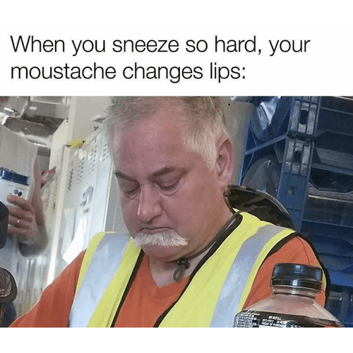image.png.bd999c7a44ed5fd053a429d45c3a338b.png
