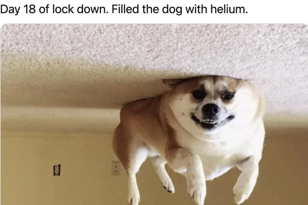 image.thumb.png.b6d04366f3798a0221858f6e51db3d08.png