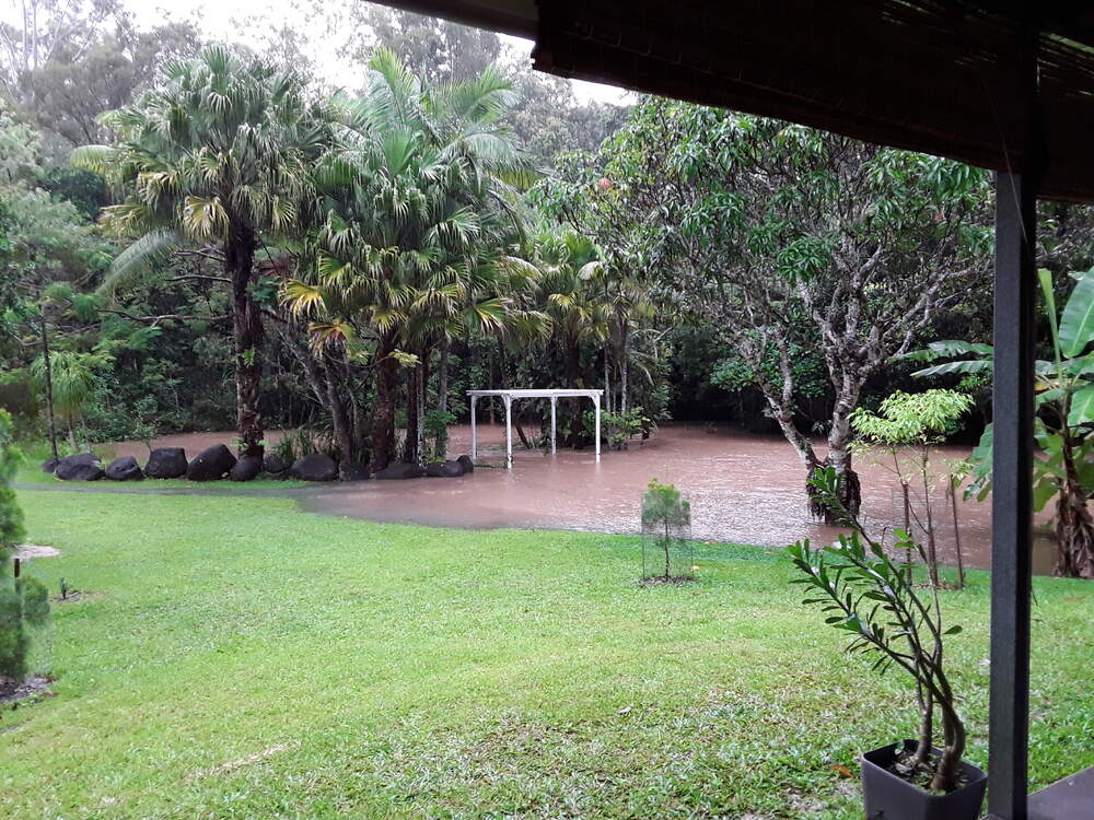 20230306_082830.jpg