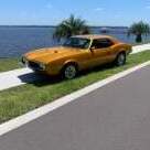 68bird