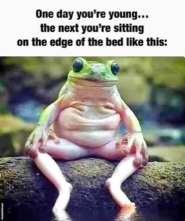 image.png.09f0950030eeab71535c872e1eacda3b.png