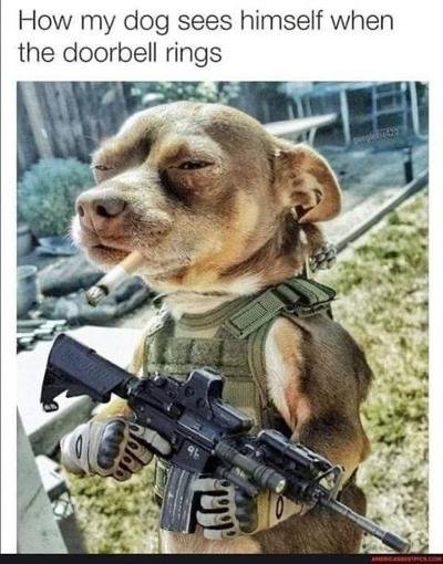 image.png.2f62b974755d365326cf1ede0138a721.png