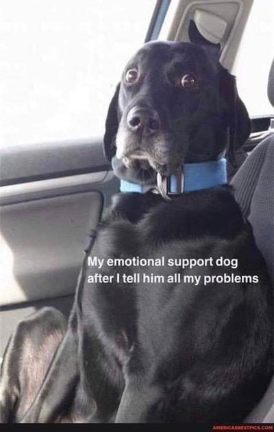 image.png.9596e5473a3f3bfdf327e5547e8f0f27.png