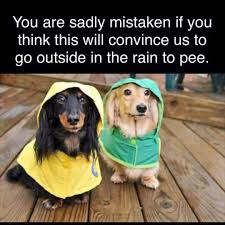 image.png.a9fd2e75a4717113a5c12961e724a351.png