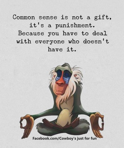 image.png.dbc3ebb2a3c185759848681381f936dc.png