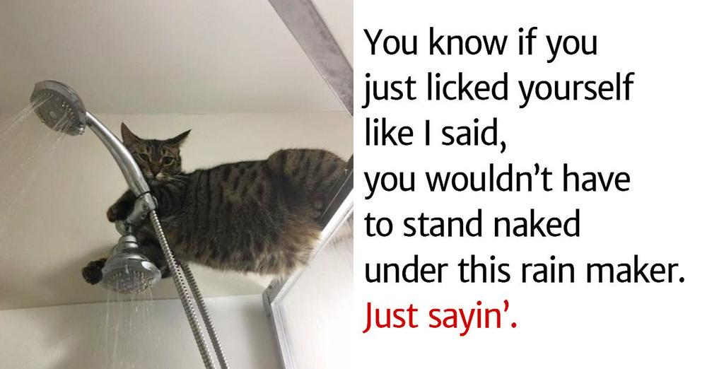 image.png.d0b8d7851c0c449fa48970111cb3b33f.png