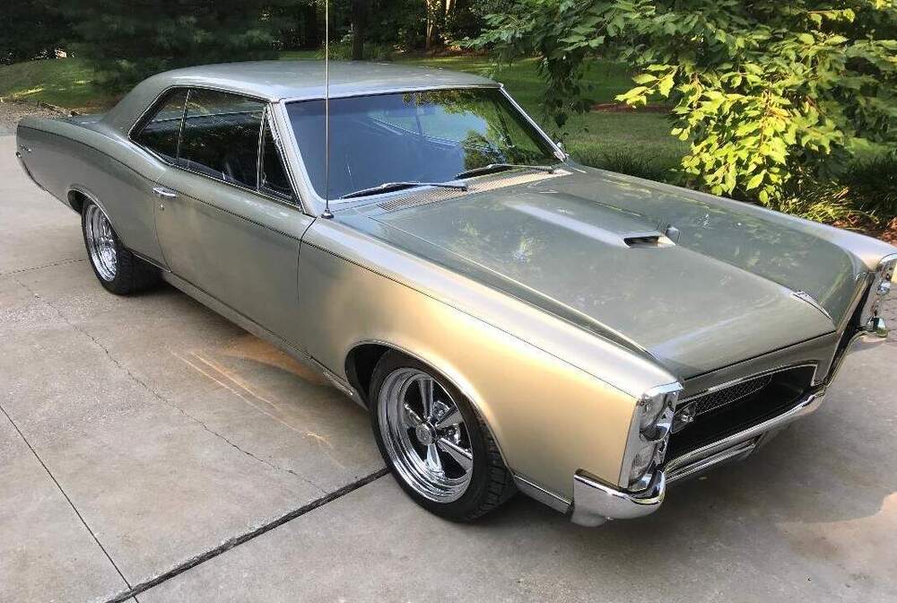 GTO (2).jpg