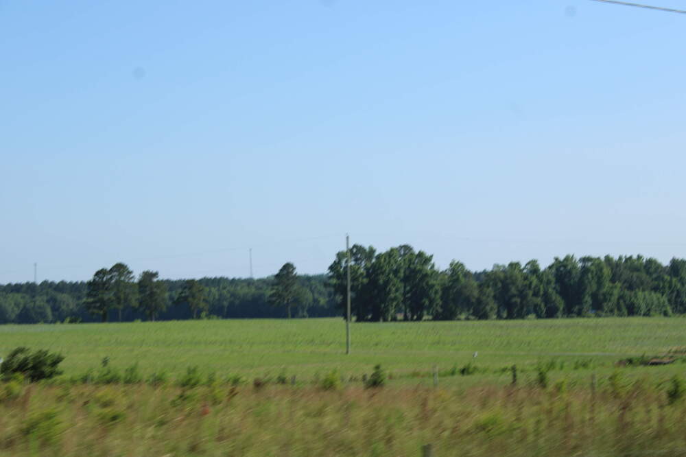 IMG_0251.thumb.JPG.48cc4f2b2e0eed6545f454e7f62edd1a.JPG