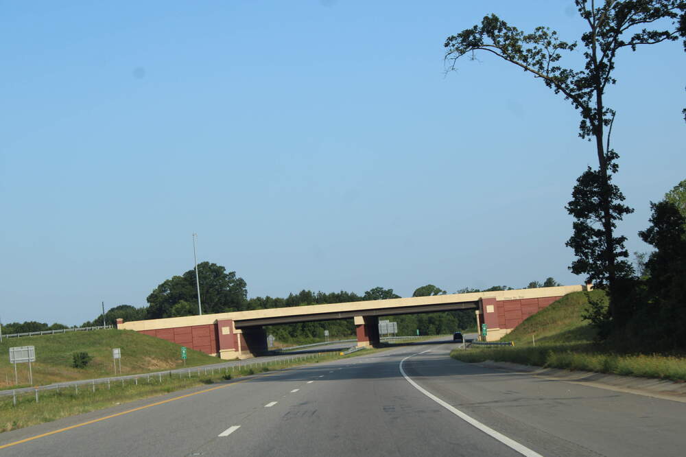 IMG_0413.thumb.JPG.db73f47eb019457ad8f15a74d858d58d.JPG