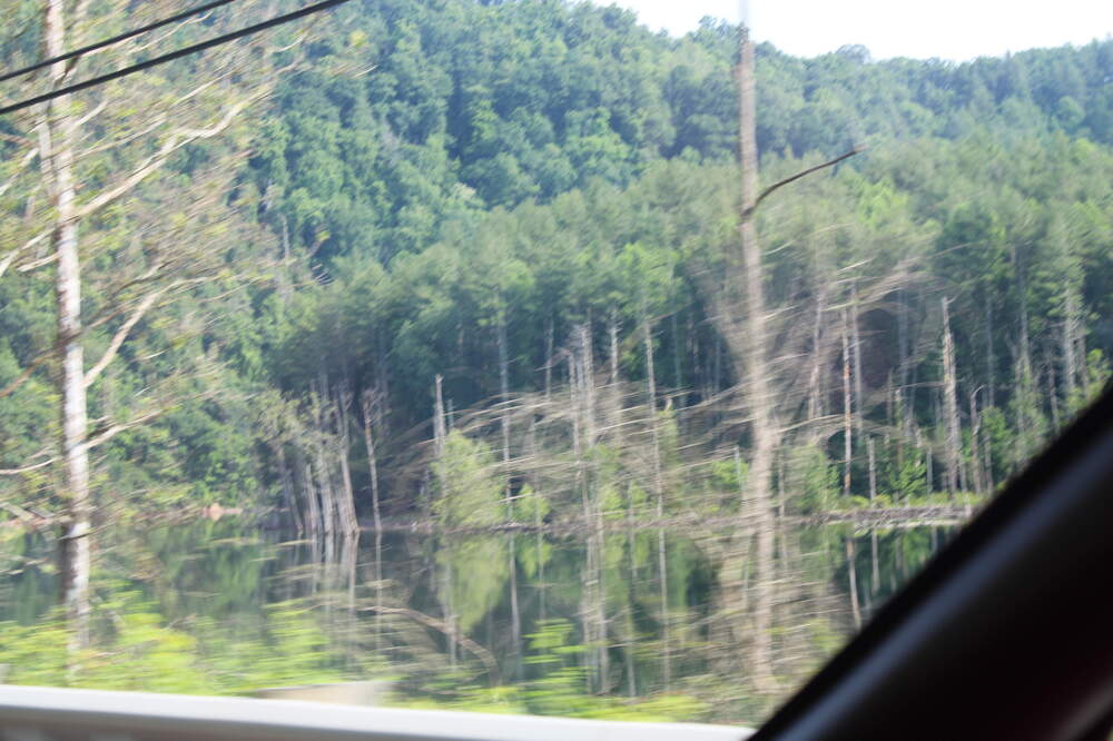 IMG_0671.thumb.JPG.450104b5e63365fb62eae921d08af04a.JPG