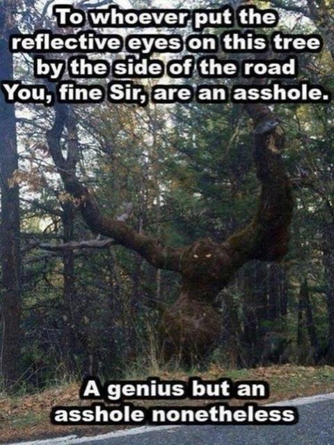 image.png.44c927e40ee01314c3e8227ebd7ea6e3.png