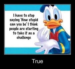 image.png.e7e87ae850237cce9b68e6b31c9de402.png