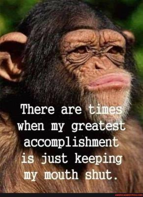image.png.fa7a3ab9f19754b7f0ea02c412056fee.png