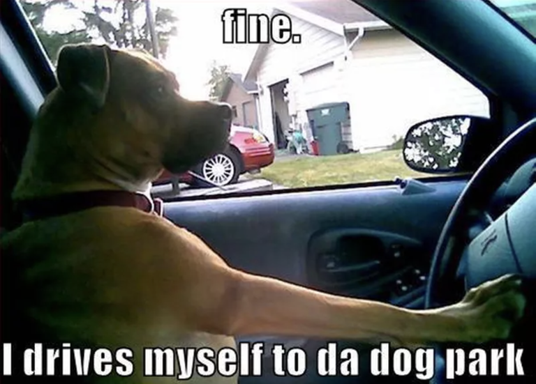 image.png.587d50acd14dc838550c3bd4187660a1.png