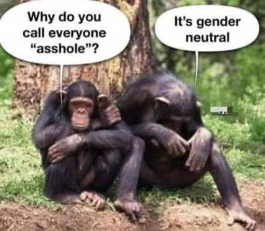 image.thumb.png.11e75634c2a01e4dfe3e2a43ab9dcdb9.png