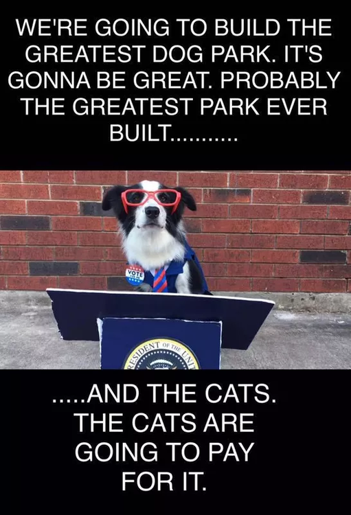 image.thumb.png.970738f2f7b26b0936348327daca3628.png