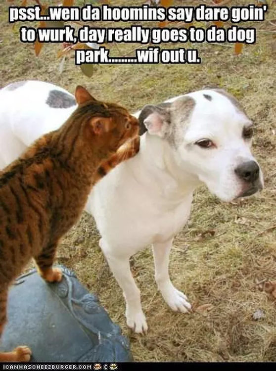 image.thumb.png.df40e0b21362af1a12d435e9e2632a9d.png