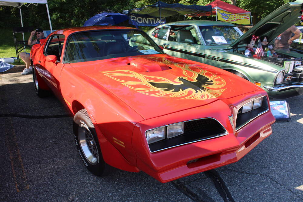 IMG_7600.thumb.JPG.8ee241da3fd48cad2ab1285e712f8c46.JPG