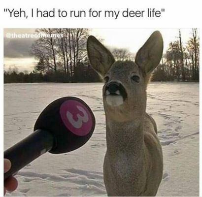 image.png.114b2a5b5ef55d868b376a69f9e0a24c.png