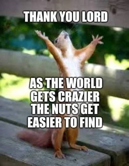 image.png.7d891d3af07e881f6934317d0ac72524.png