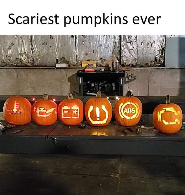 FB_IMG_1697858941657.jpg