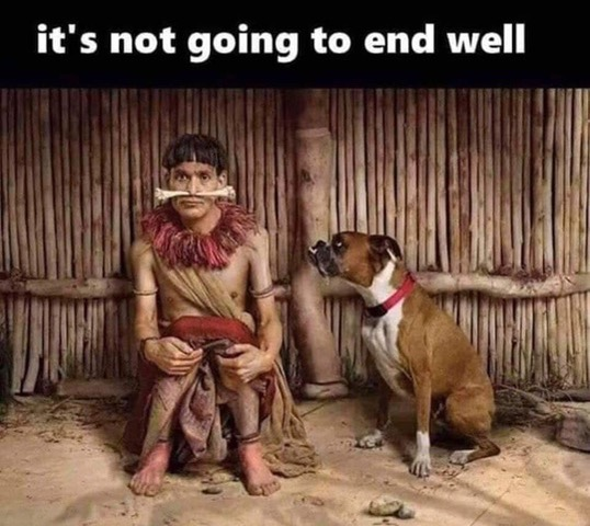 image.png.d5bfadfe02d3d4daf909a6c66ed750c3.png