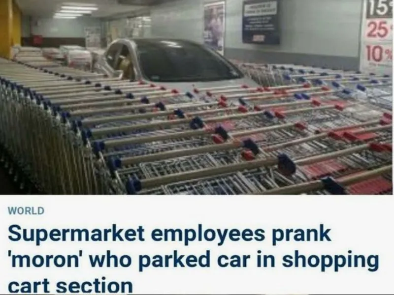 image.png.d6e2189dd9feb34eb69a2754c8f098dd.png