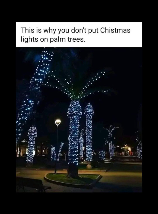 image.thumb.png.f6bcc64f440304b77f9af519467d5de8.png