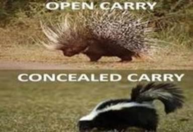image.png.073506a2a4381fd403103aa6fcbca5db.png