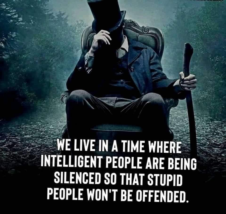 image.thumb.png.ba4ef6794bcc2ea755164593054f2dfe.png