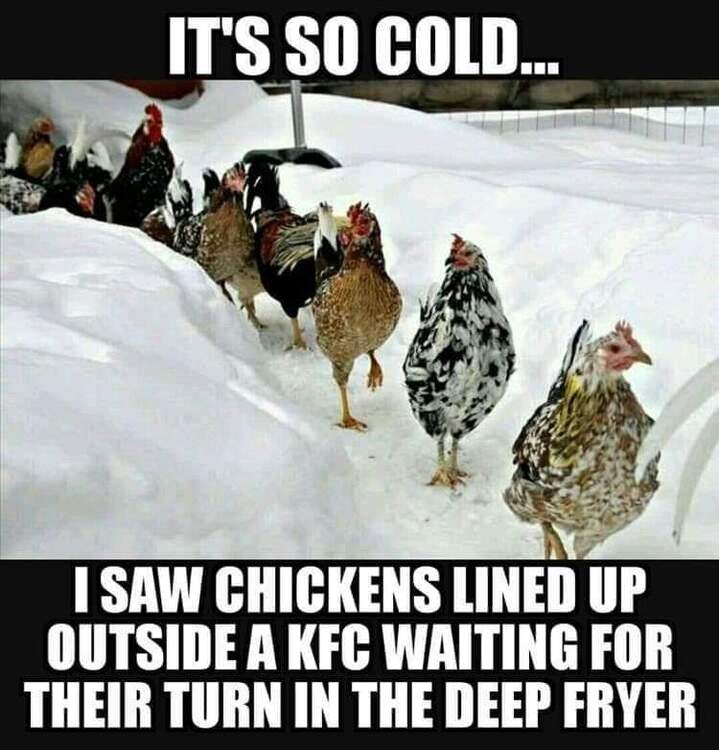 FB_IMG_1705339799632.jpg