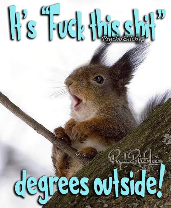 image.png.0093e438c70613f0ee078be2f5c0f194.png