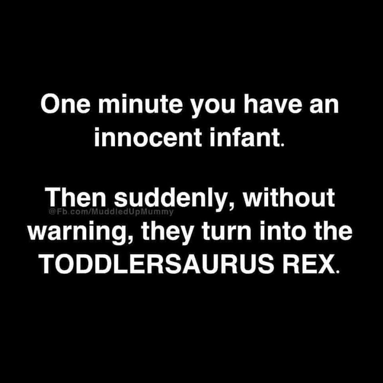 image.thumb.png.d09ccded8b4c9c3b092fa0cdbadd0517.png
