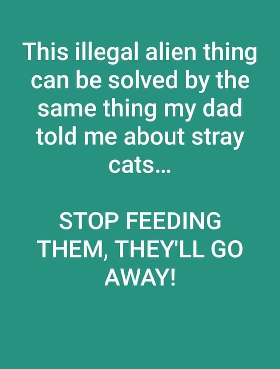 image.thumb.png.f6fac13897760611a675332f3c73ea75.png