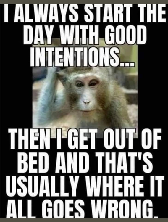 image.thumb.png.19c6e4fe2f6010de7a0c3b04243c6cb2.png