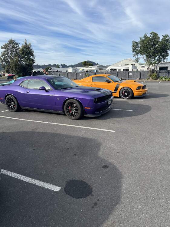 IMG_2976.jpeg