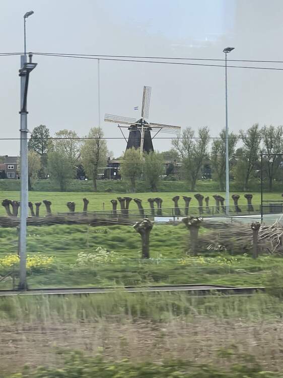 IMG_9865.jpeg
