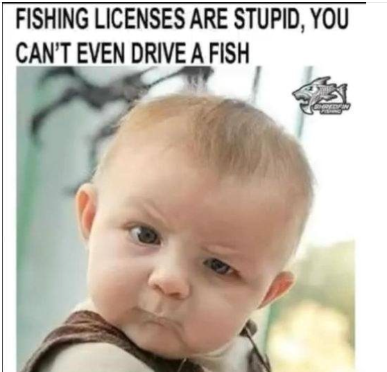 image.png.01d1f64e947e761a0aede1f9da53d5b8.png