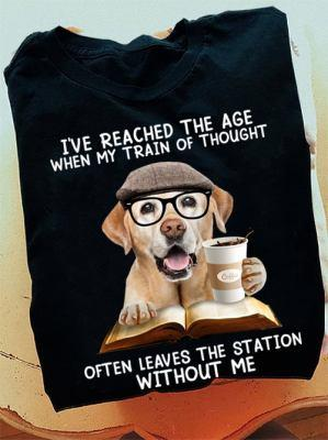 image.png.8058e8a912d780268675df7277a1bdfa.png