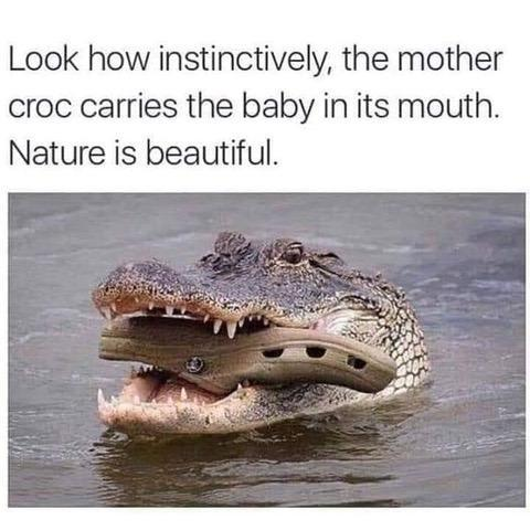 image.png.8bd6cdb4e0b9e52fd47ebfda02c75c41.png