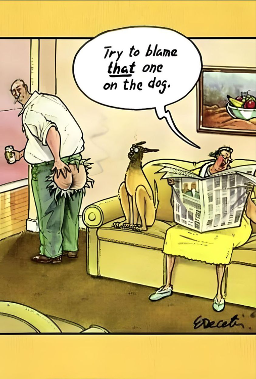 image.thumb.png.8a4e020b13f9ab49e7ee7149f205ad46.png