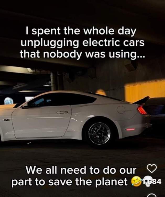 FB_IMG_1715218709574.jpg