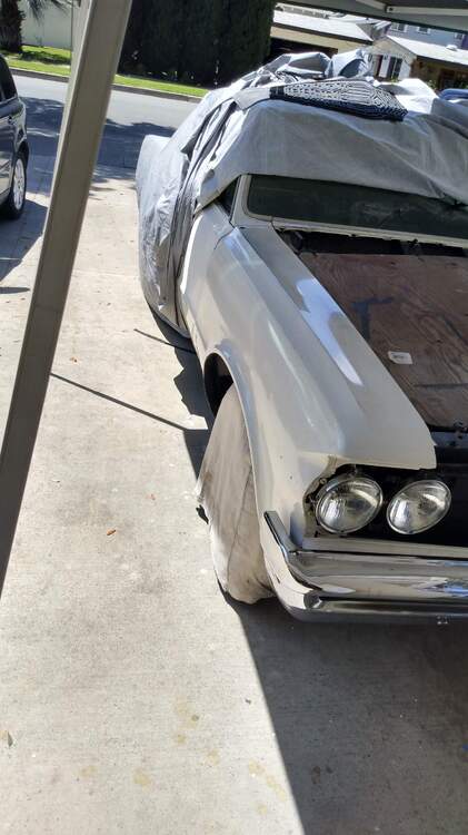 IMG_20240505_134816390_HDR.jpg