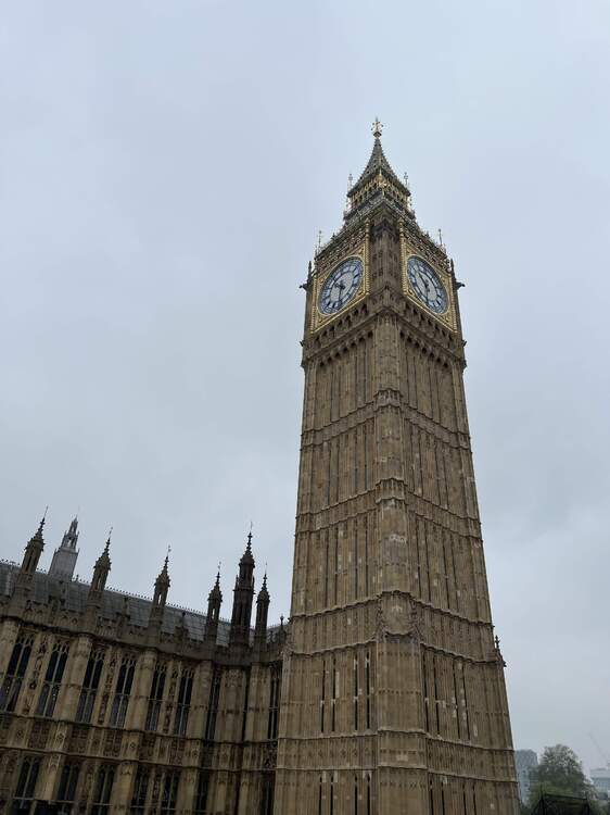 IMG_3623.jpeg